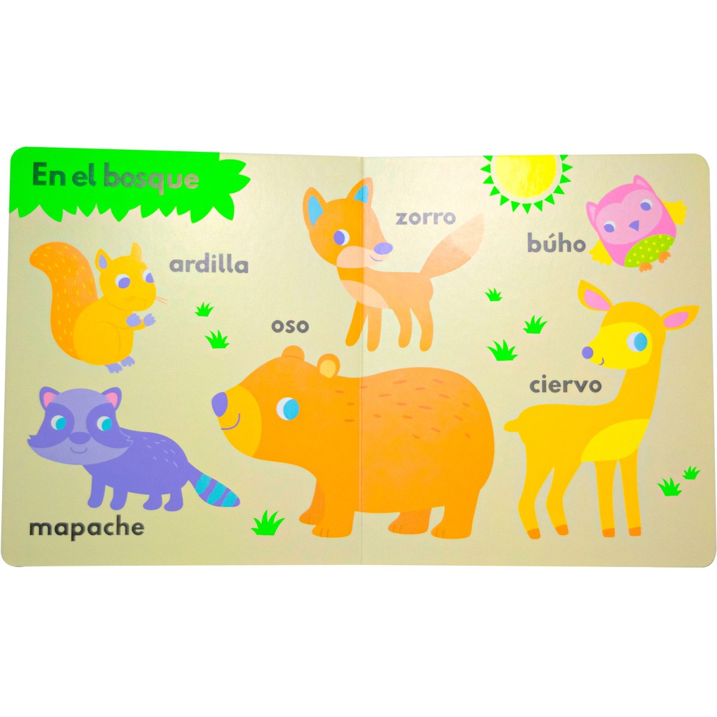 MUNDO DE CARTON ANIMALES