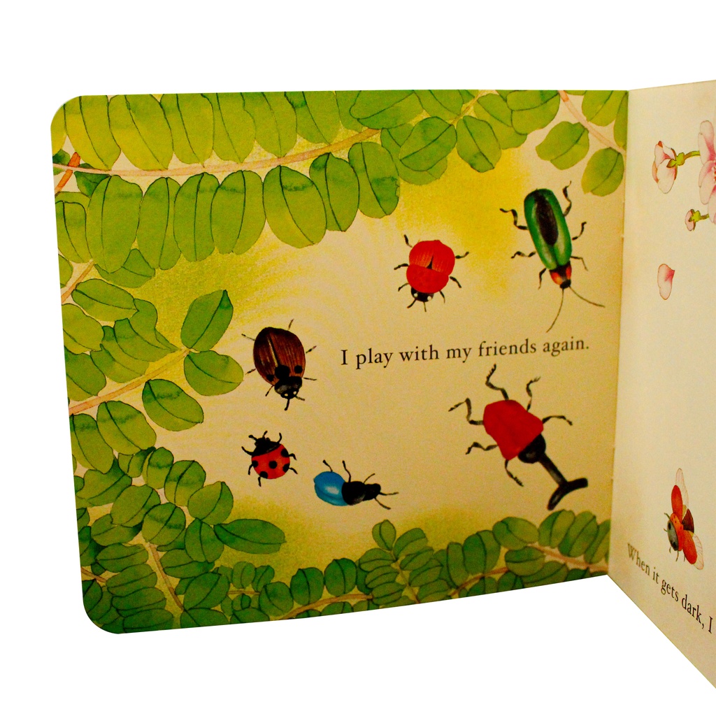 BABY´S STORYBOOK 2 10 TITULOS