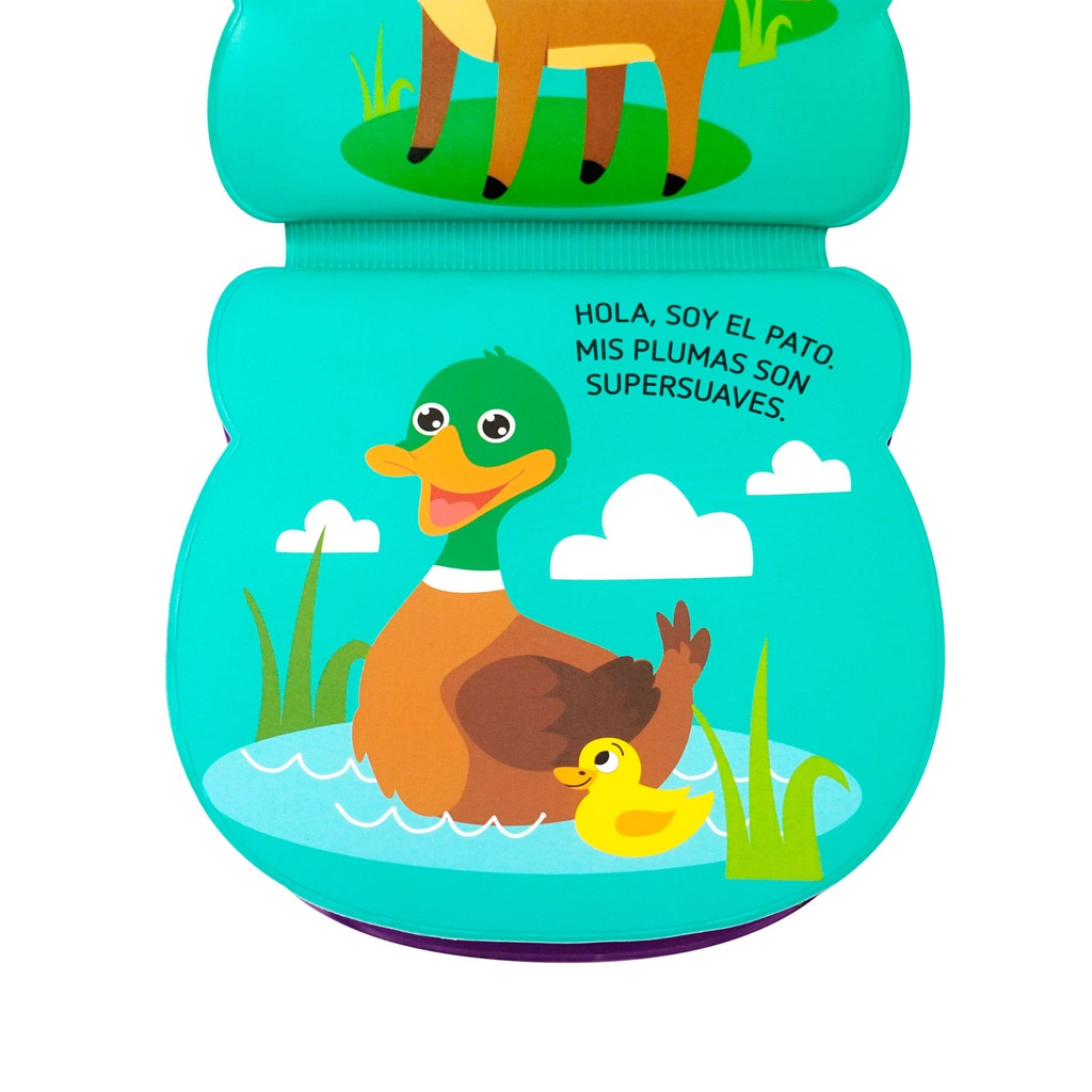 CERDITO -CARITAS AL AGUA