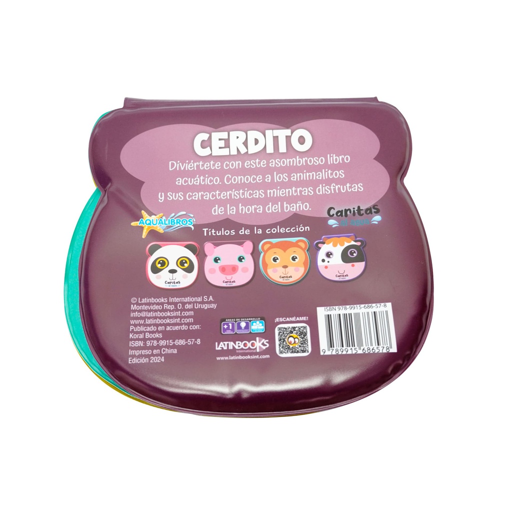 CERDITO -CARITAS AL AGUA