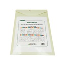 LIBRO CON PINTURA JUMBO