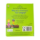 WHY DO I FEEL ANGRY? LIFT THE FLAP