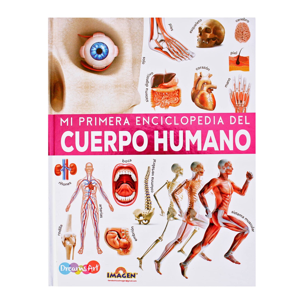 MI PRIMERA ENCICLOPEDIA DEL CUERPO HUMANO
