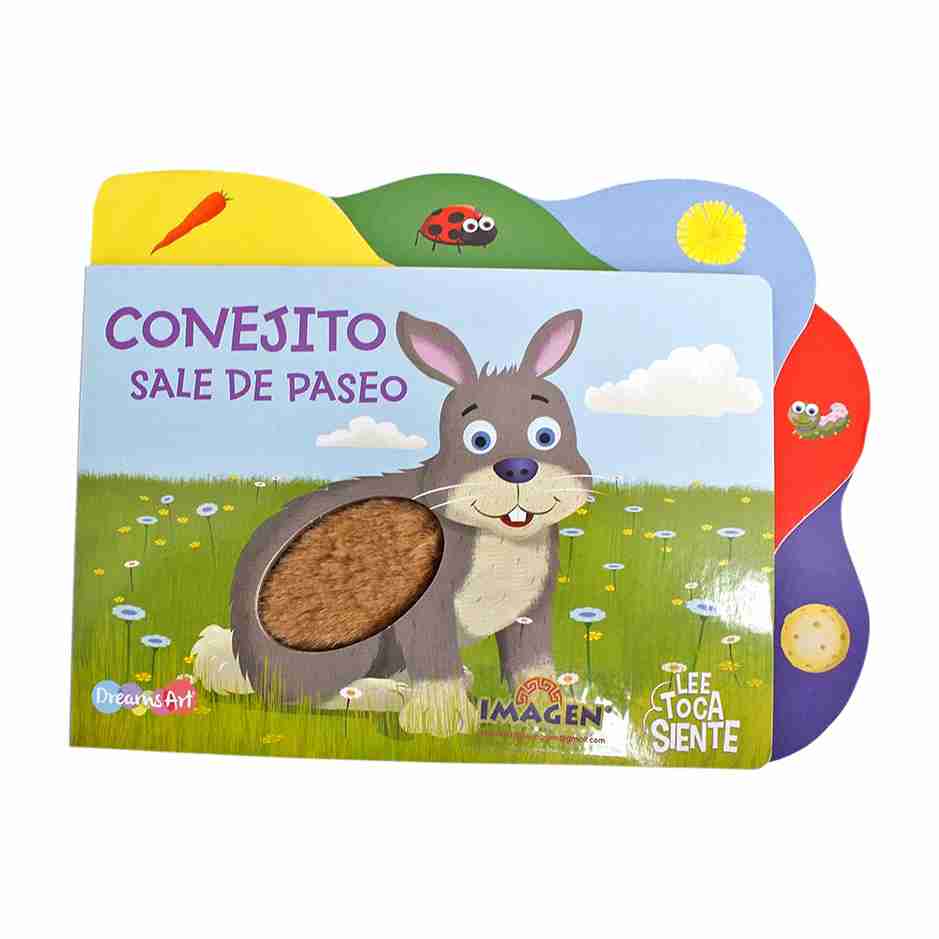 CONEJITO SALE DE PASEO LEE, TOCA, SIENTE
