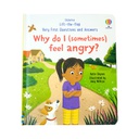 WHY DO I FEEL ANGRY? LIFT THE FLAP